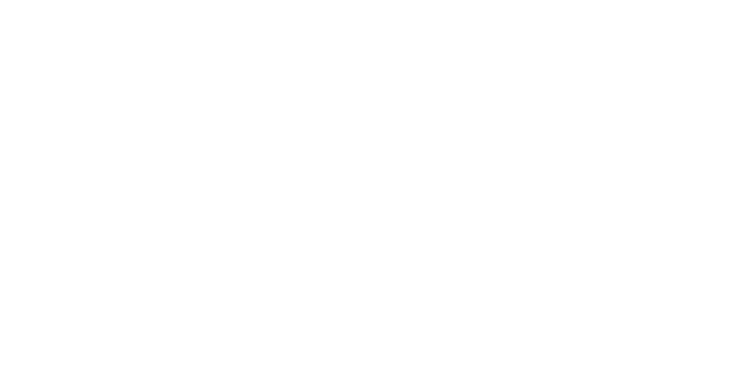 Saaris logo